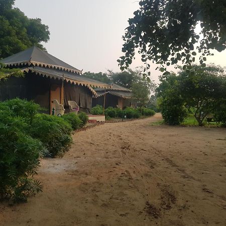 Orchard Tents & Tranquility Пушкар Екстериор снимка